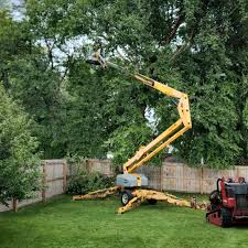 Jasper, IN Tree Care Company